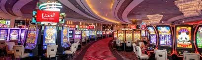 505bet app